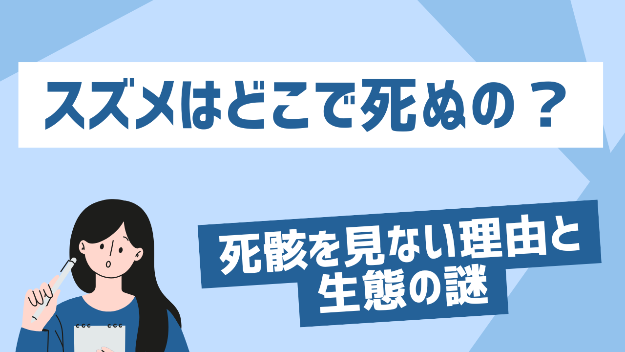 スズメはどこで死ぬの